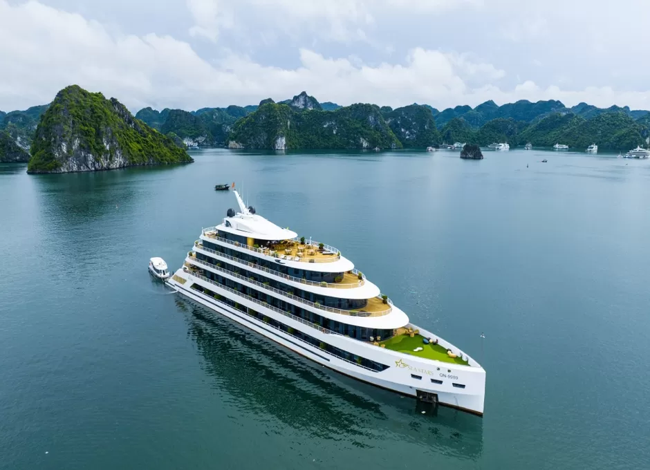 To Ng Quan Overview 82 1 1 1695200477 1697602738 Jpg